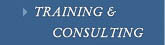 training-consulting